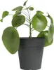 Artevasi Madagascar To Grow Pot, Anthrazit, 30 l, 400 mm, Produktbild-Vorschau 4