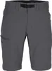 Pinewood 5043 Everyday Travel Shorts Asch Grau (413) C58 Produktbild-Vorschau 1