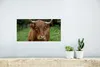 MuchoWow® Poster Schottische Highlander - Tiere - Gras Produktbild-Vorschau 5