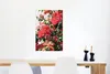 MuchoWow® Poster Rosa Blumen in einem Busch 40x60 cm - Produktbild-Vorschau 5