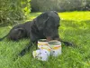Pollux Nassfutter Rind & Seelachs für Hunde 400g Dose Produktbild-Vorschau 2