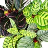 Zestaw 4 cieni do powiek – fantazyjny wzór liści – Calathea Podgląd zdjęcia produktu 2