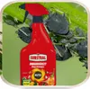 Insektenspray Polysect - 750 ml - gegen Schädlinge - Produktbild-Vorschau 11
