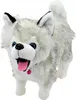A plush toy husky dog standing on a white background. Náhľad obrázku produktu