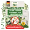 Raubmilben gegen Thripse, Spinnmilben & Weiße Fliegen - 1x Produktbild-Vorschau 1