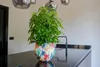 Collection TS - Blumentopf Sparkle spring - 24x21 Voir les images du produit 4