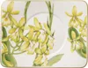 Amazonia, platillo para taza, 175 x 136 x 20 mm | Villeroy Vista previa de la imagen del producto 1
