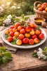 Ozdobná jabloň 'Evereste' 100–120 cm – mrazuvzdorný okrasný Náhled obrázku produktu 3