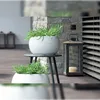 Kvetináč Prosperplast FURU BOWL White 37,8 cm Náhľad obrázku produktu 4