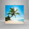 Bilder auf glas - Strand Palme Meer - 70x70cm - Glasbilder Produktbild-Vorschau 3