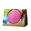 Jolly Pets Fußball Hundespielzeug 15 cm Rosa S Produktbild-Vorschau 3