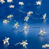A string of star-shaped LED lights on a blue background. Produktbild-Vorschau
