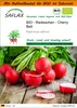 SAFLAX - Garden in the Bag - BIO - Radieschen - Cherry Bell Produktbild-Vorschau 1