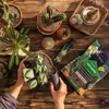 Lechuza Minerální substrát pro kaktusy CACTUSPON, 6 l Náhled obrázku produktu 9