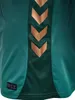 Hummel Werder KIDS 3rd 25/26 Trikot 6108 116 Produktbild-Vorschau 6