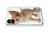 MuchoWow® Handyhülle Schutzhülle Hülle für iPhone X Katze - Produktbild-Vorschau 5