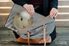MuchoWow® Laptop Hülle 14 ZollKleines Meerschweinchen Produktbild-Vorschau 5