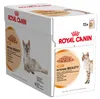 ROYAL CANIN Hair & Skin Care - nassfutter für Katzen - Produktbild-Vorschau 6