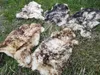 Vera pelliccia di agnello ecologico fiammato fino a 140 cm Anteprima dell’immagine prodotto 3