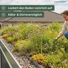 Rasensamen Kiepenkerl DSV 630 Dachbegrünung III Kräutermix Produktbild-Vorschau 7