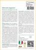 SAFLAX  - Albero del viaggiatore - 8 semi - Ravenala Anteprima dell’immagine prodotto 3
