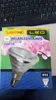 LED Pflanzenlampe Reflektor PAR38 E27/12W 70° Produktbild-Vorschau 10