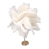 Lampa stołowa z piór strusia, lampa z piór strusia, lampa Podgląd zdjęcia produktu 2
