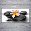 Glasbilder 120x60 Wandbild Druck auf Glas Blumen Steine Produktbild-Vorschau 2