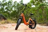 48V 18Ah E BIKE,20 *4.0" Fetter Reifen E-Bike Klappräder,  Produktbild-Vorschau 8