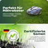halmland Premium Schattenrasen Samen schnellkeimend 10kg = Produktbild-Vorschau 4