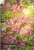 ARTland Wandbild, selbstklebend Japanische Kirschblüte Produktbild-Vorschau 1