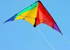 Elliot Drachen Delta Basic 117 x 59 cm rainbow/schwarz rtf Produktbild-Vorschau 4