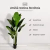 IvoQ Strelitzia umělá rostlina 210 cm - velká rajská Náhled obrázku produktu 2