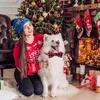 Collare festivo con fiocchi di neve, Collari e decorazioni Anteprima dell’immagine prodotto 10