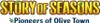 Story of Seasons - Pioneers of Olive Town Nintendo Produktbild-Vorschau 9