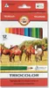 Koh-i-noor pastlky TRIOCOLOR trojhranné souprava 12 ks Náhled obrázku produktu 1
