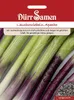 Dürr-Samen - Lauchzwiebeln Apache - Saatgut - 1225 Produktbild-Vorschau 2