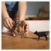 SCHLEICH - Western Riding Adventures - 42578 - Farm World Anteprima dell’immagine prodotto 8