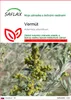 SAFLAX - vermút - Artemisia absinthum - 500 Semená Náhľad obrázku produktu 1