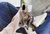 MuchoWow® Handyhülle Schutzhülle Hülle für Samsung Galaxy Produktbild-Vorschau 3