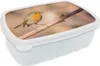 KitchenYeah® Obědový box Obědový box 17x11 cm Pták - větev Náhled obrázku produktu 1