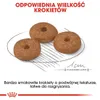 Royal Canin Mini Ageing 12+ | 3,5kg Produktbild-Vorschau 7