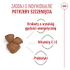 Royal Canin SHN Mini Starter M&B 4kg Produktbild-Vorschau 5