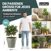 Kreher® 2 x XXL Pflanzkübel / Pflanztopf „LIKE“ Ø58xH51 cm Produktbild-Vorschau 5
