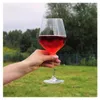 Copa de vino con estuche elegante Vista previa de la imagen del producto 15
