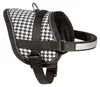 Karlie Teeny Weeny Geschirr 15 mm, 31-40 cm, XS Produktbild-Vorschau 2