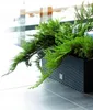 Prosperplast Blumentopf | Rato Case | Schwarz | 60 cm Produktbild-Vorschau 7