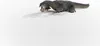 Schleich® Dinosaurs 15031 Nothosaurus hrací figurka Náhled obrázku produktu 3