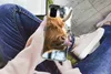 MuchoWow® Handyhülle Schutzhülle Hülle für Samsung Galaxy Produktbild-Vorschau 3
