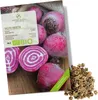 Rote Beete Samen (Chioggia, 35 Korn) - Rote Bete Saatgut Produktbild-Vorschau 1